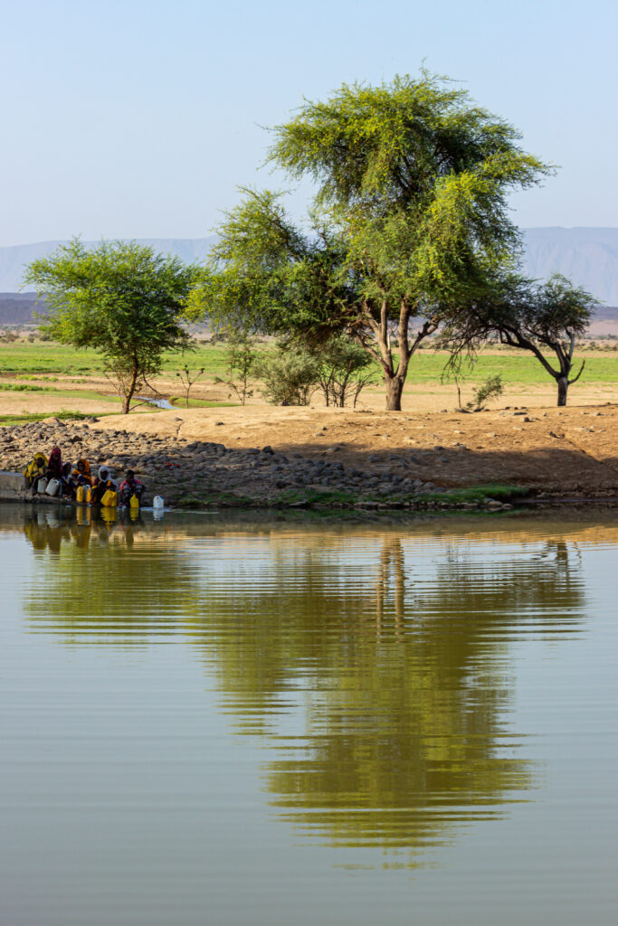 Tales of the Djibouti By Camille Massida